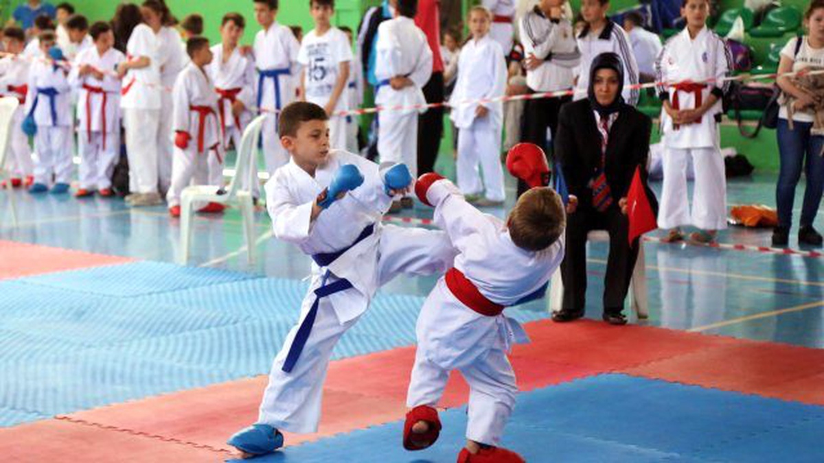 Sapanca Belediyesi Karate Şampiyonası Yapıldı