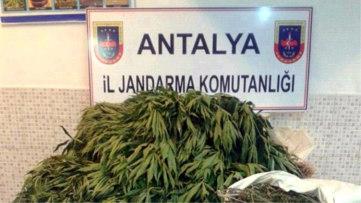 Antalya\'da Uyuşturucu Operasyonu