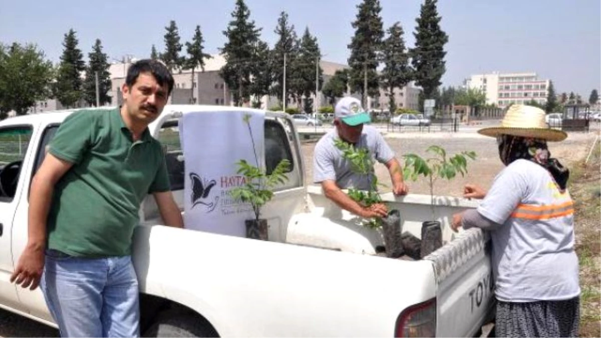 Doğadan Kazandığını Doğaya Harcadı