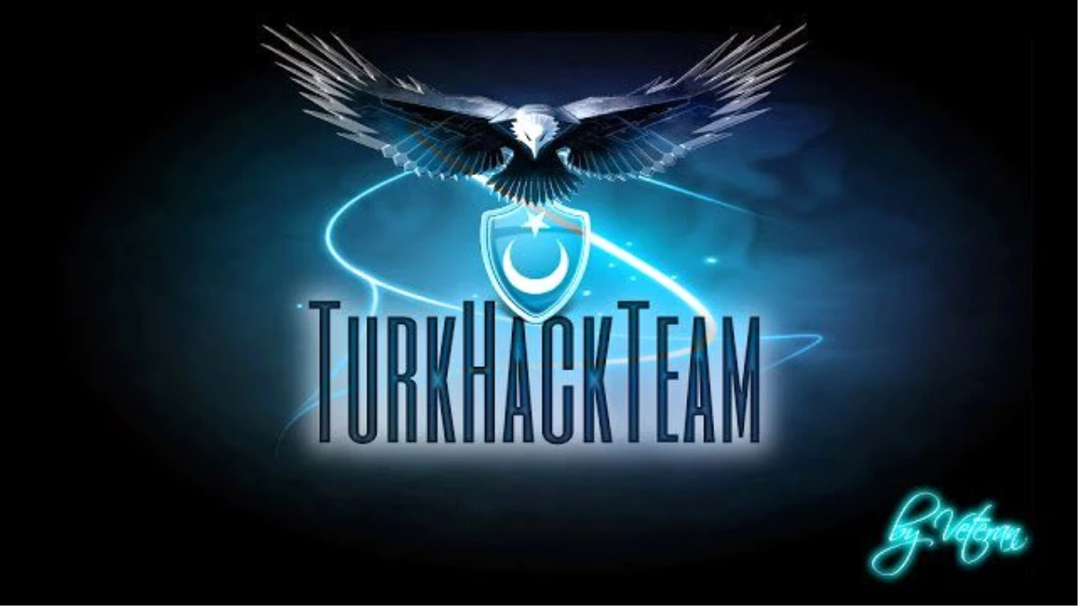 Türk Hacker\'lardan Almanya İstihbaratına Ağır Darbe.!