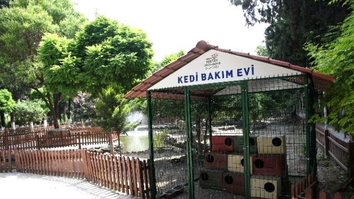 Hatay Büyükşehir Belediyesi\'nden Sokak Hayvanlarına Yardım Eli