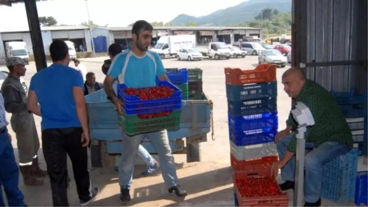 Kirazda İç Piyasada Sorun Yok, İhracat Ürününü Don Vurdu