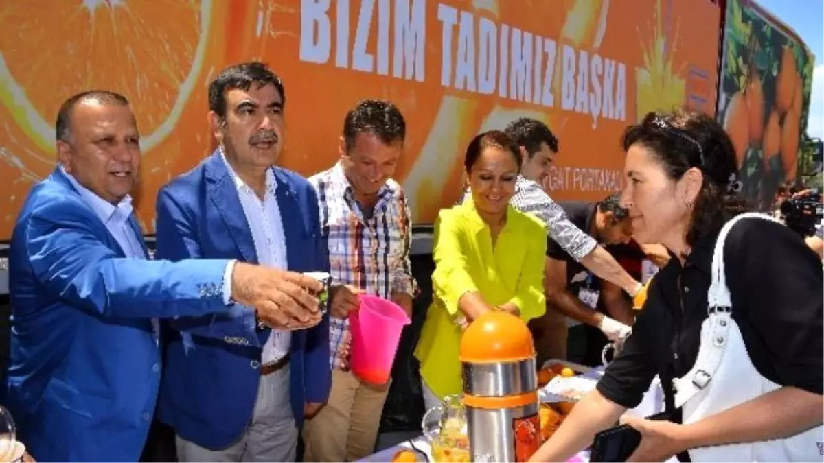 Tanıtım Çalışmaları ile Portakal Üretimi 60 Bin Tona Yükseldi