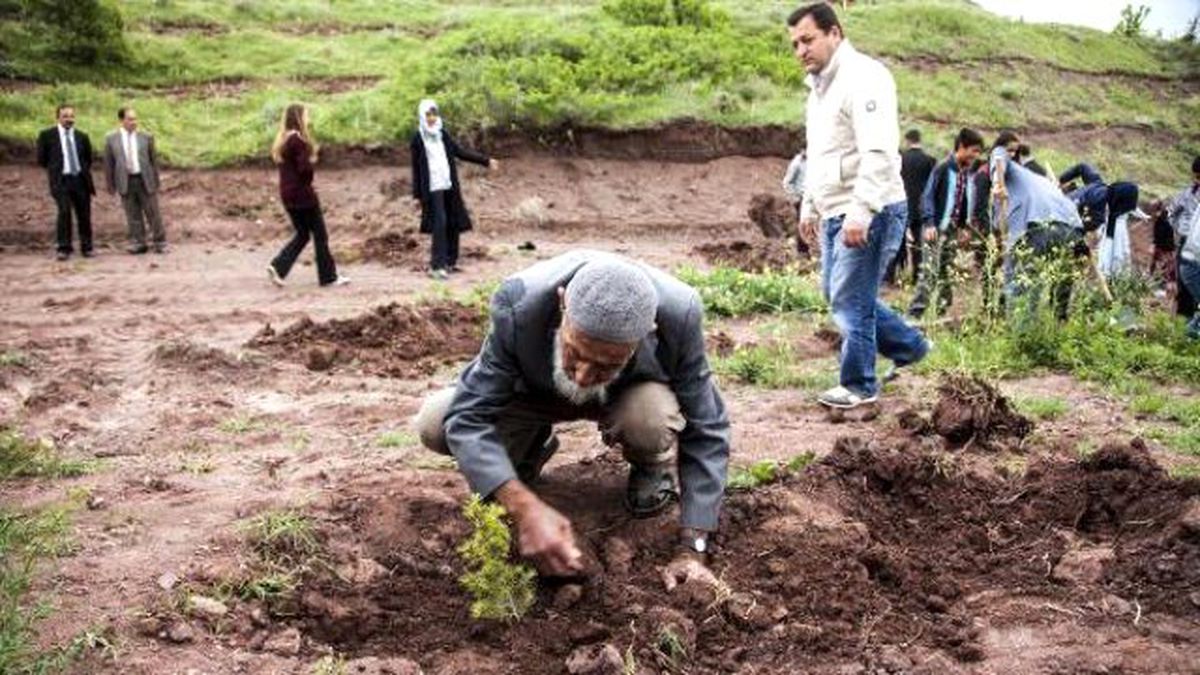 Ahlatlı \'Sofu Dayı\' 10 Bin Fidan Dikti