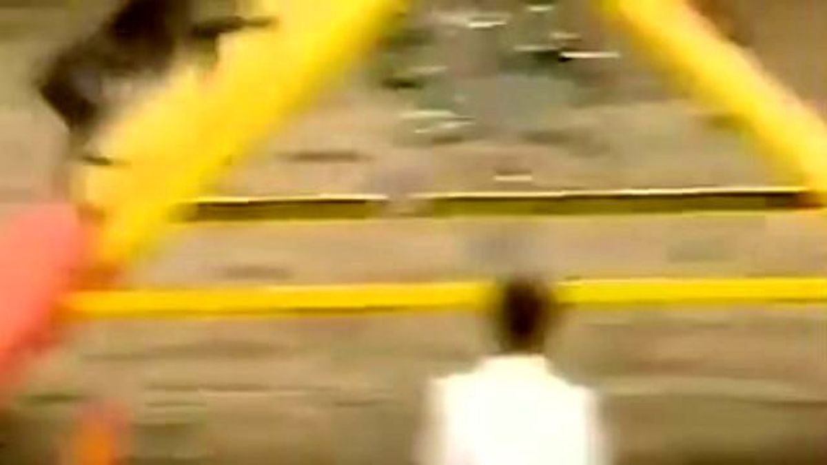 Dünyanın En Hızlı Köpeği