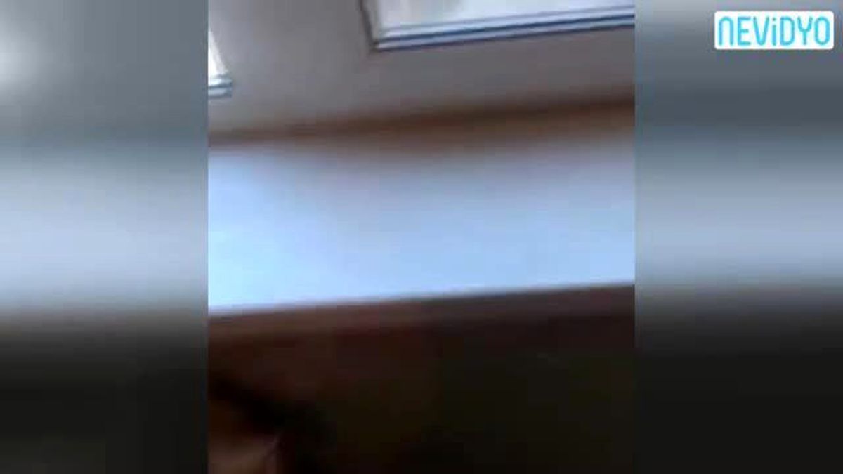 Evin İçine Yuva Yaptı!
