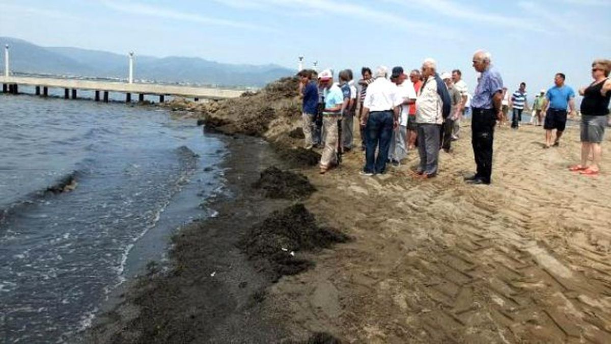 Burhaniye\'de Deniz Kirliliği Tepkisi