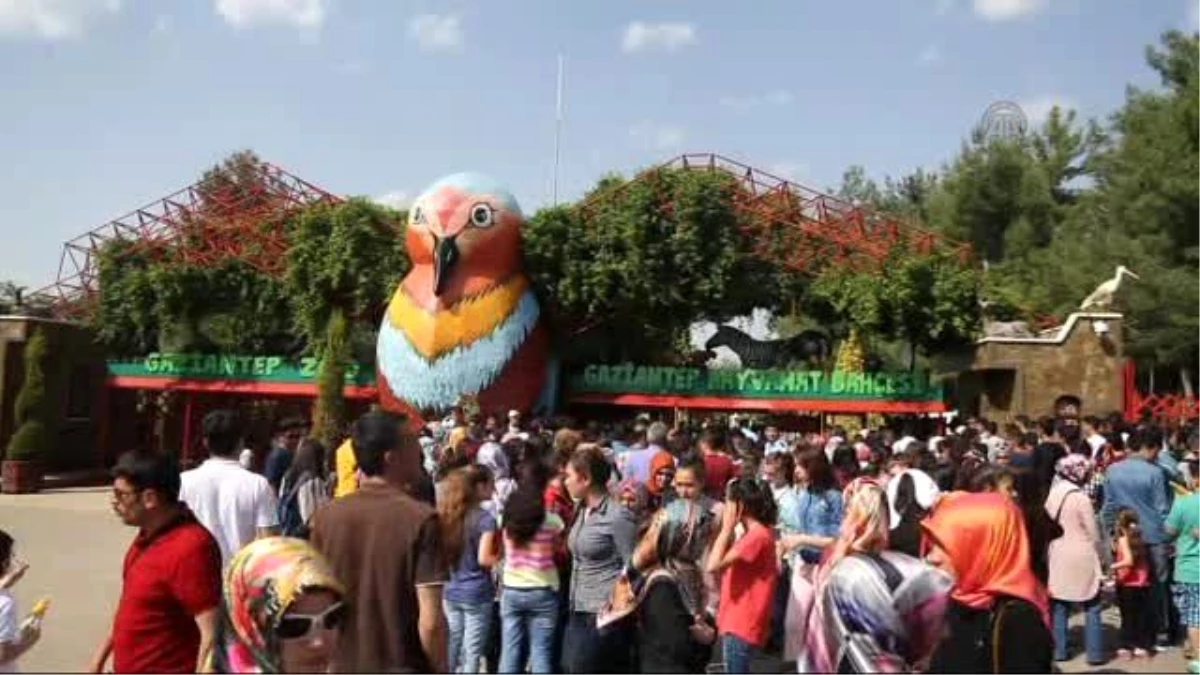 Gaziantep Hayvanat Bahçesi Yeni "Sakinlerini" Bekliyor