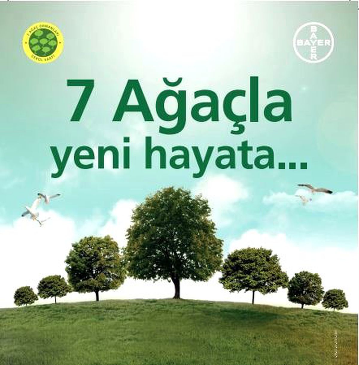 Bayer Ağaçlandırma Kampanyası
