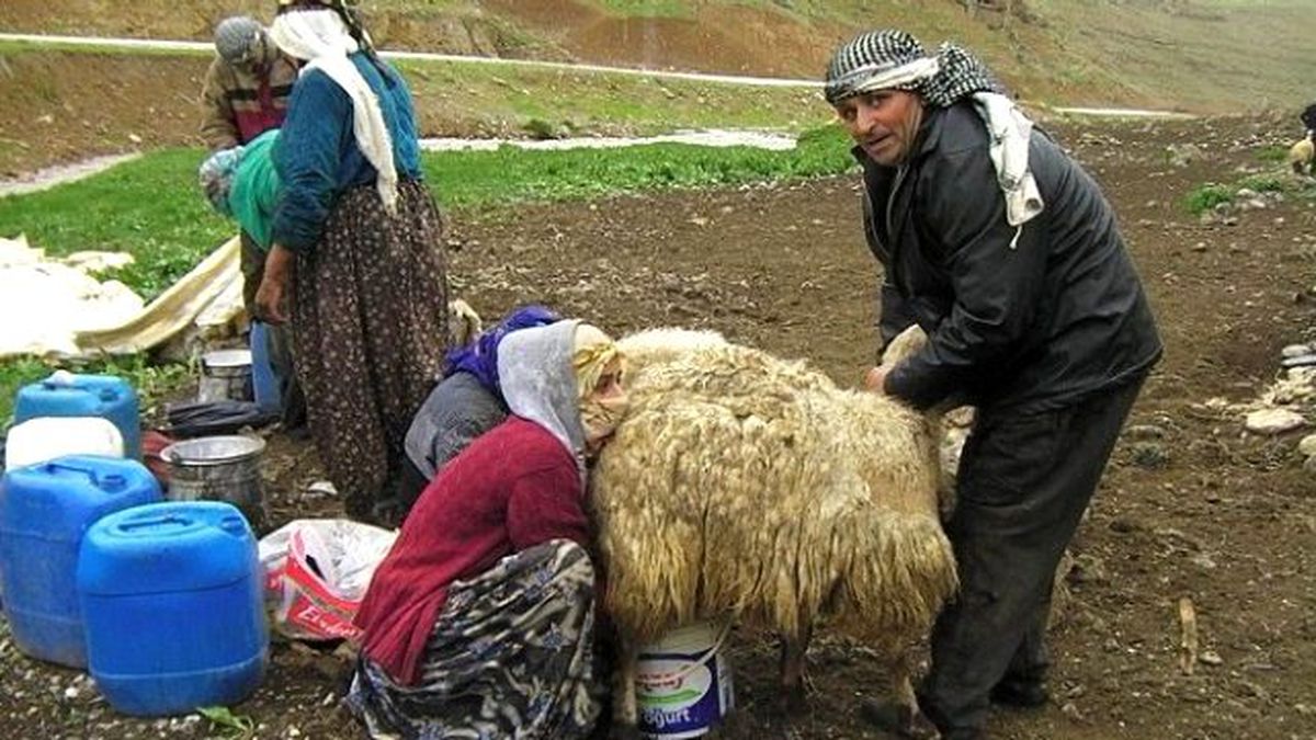 Berivan\'lar Yaylalara Çıktı