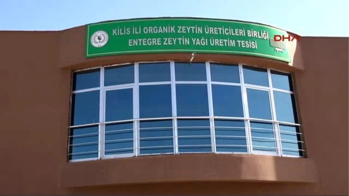 Kilis - Birleşmiş Milletler Heyeti, Kilis\'te Zeytinyağı Tesisini İnceledi