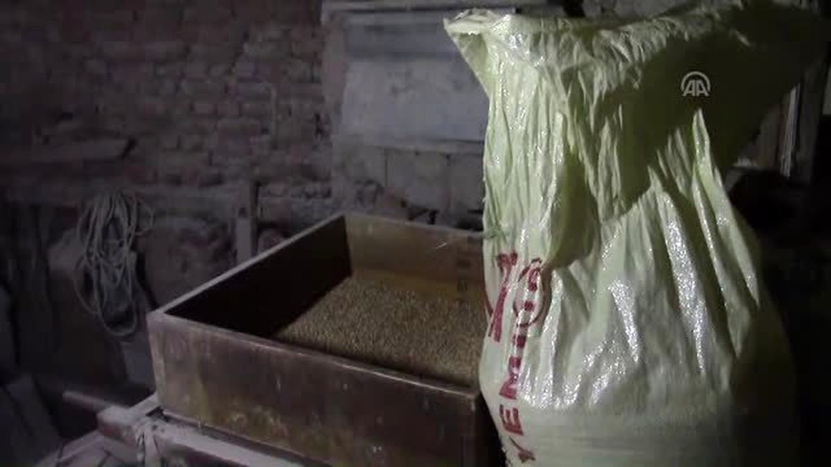 Organik Buğdaydan "Anadolu Ekmeği" Yeniden Sofraları Süslüyor