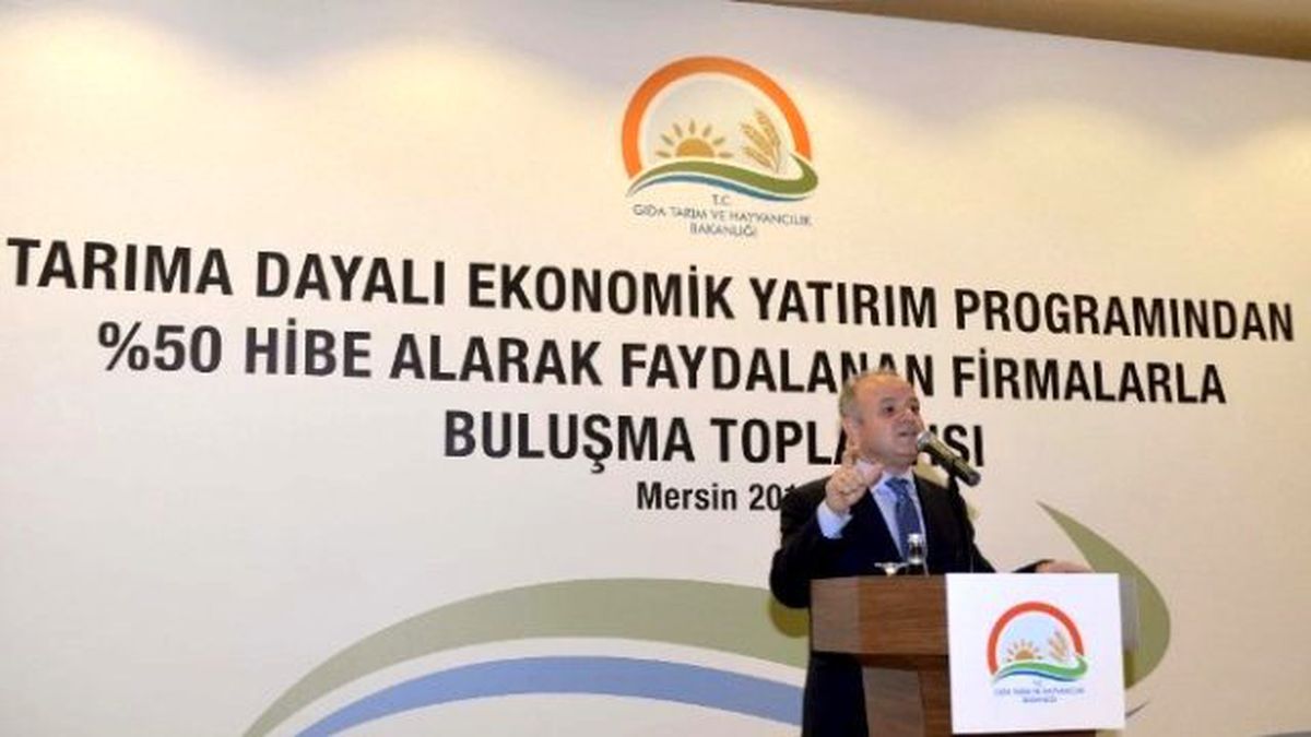 Tarıma Dayalı Ekonomik Yatırım Programları