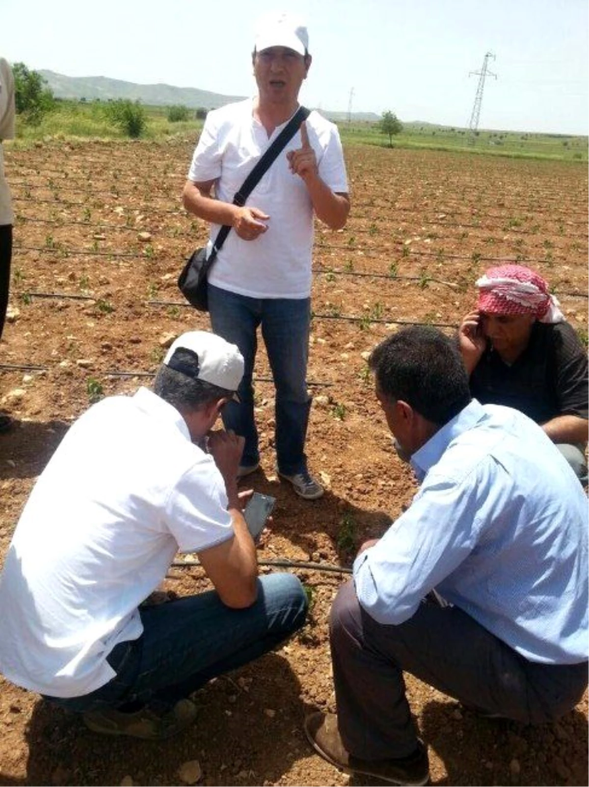 Tarlaların Verimliliği Kontrol Edildi