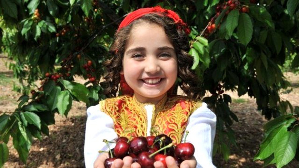 Buca Kiraz Festivali\'ne Hazır