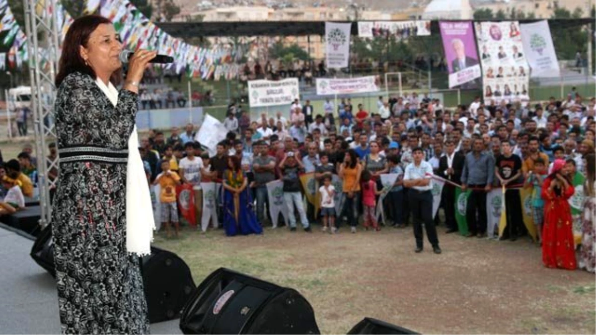 HDP Adayları Birecik\'te Miting Düzenledi