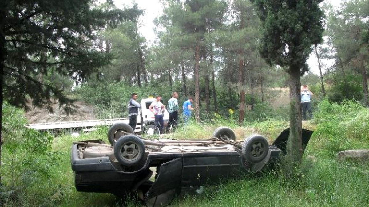 Kediye Çarpmamak İsterken Kaza Yaptı
