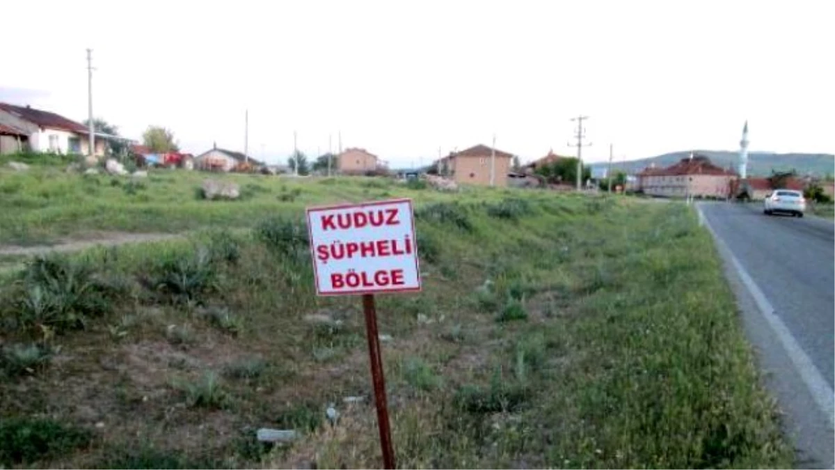 Kuduz Vakası Tespit Edilen Köy Karantinaya Alındı