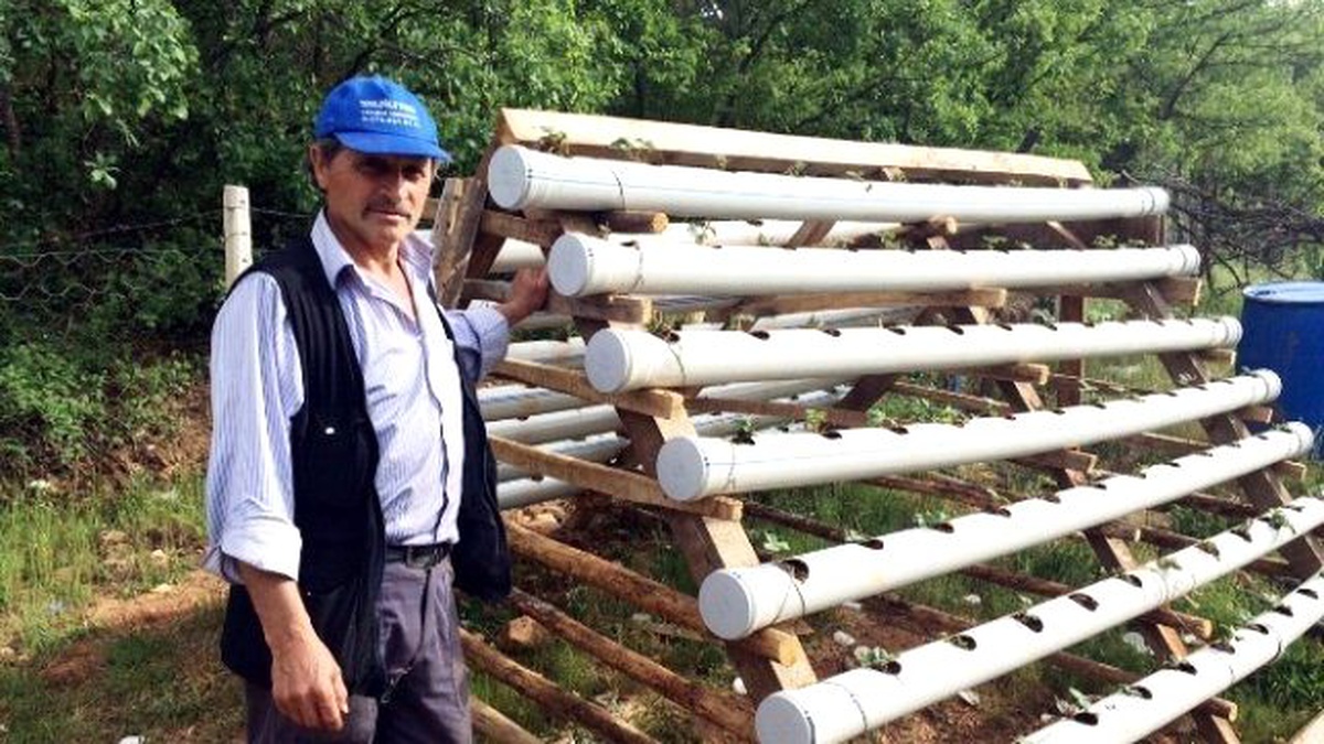 Kütahya\'nın Çilek Ambarı Demirciören Su İstiyor