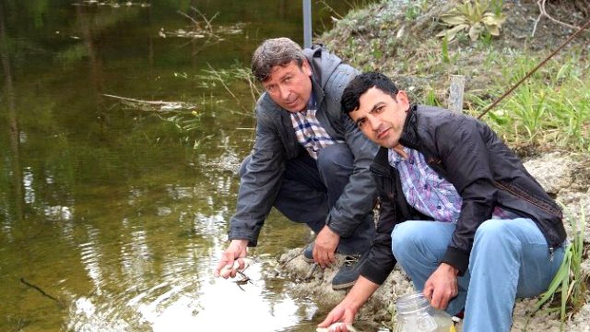 Kütüklü Göle Balık Bıraktılar