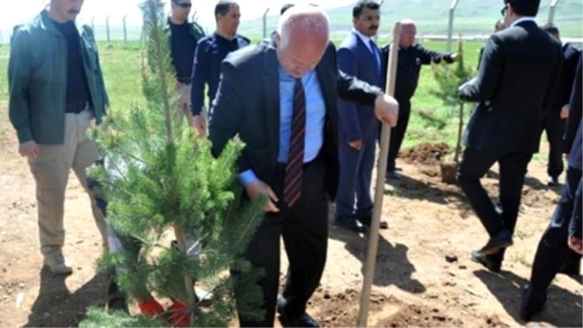 Şehit Savcı Kiraz İçin Bitlis\'te Hatıra Ormanı Oluşturuldu