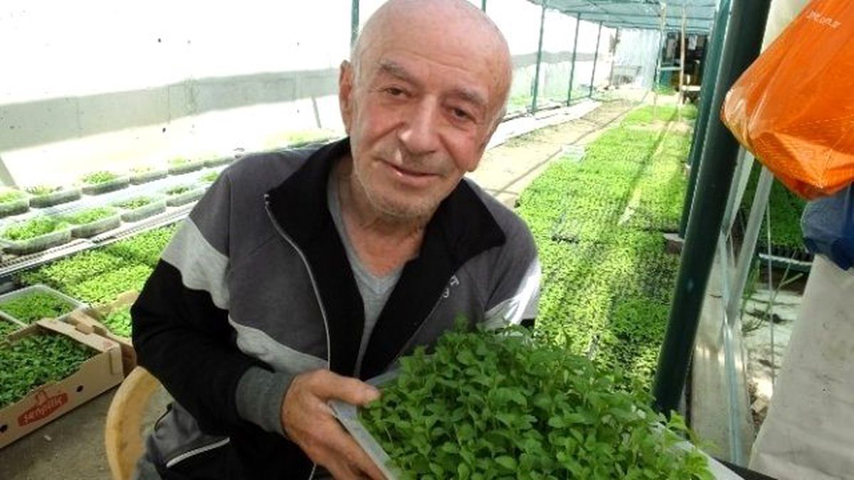 Şeker Otuna Büyük Talep