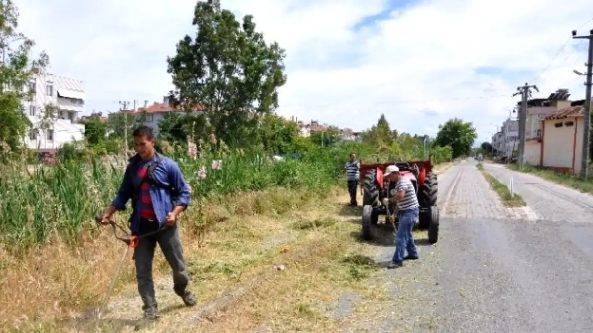 Zeytinli Mahallesi Yaza Hazırlanıyor