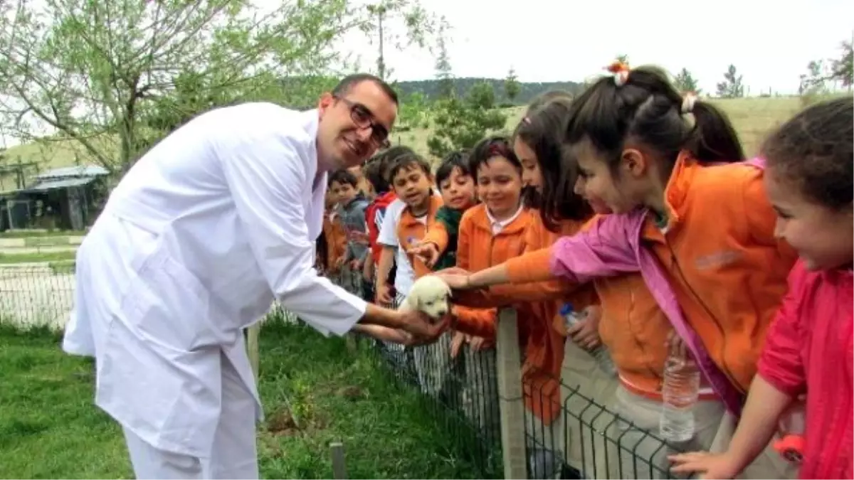 Ana Okulu Öğrencileri Hayvan Barınağında