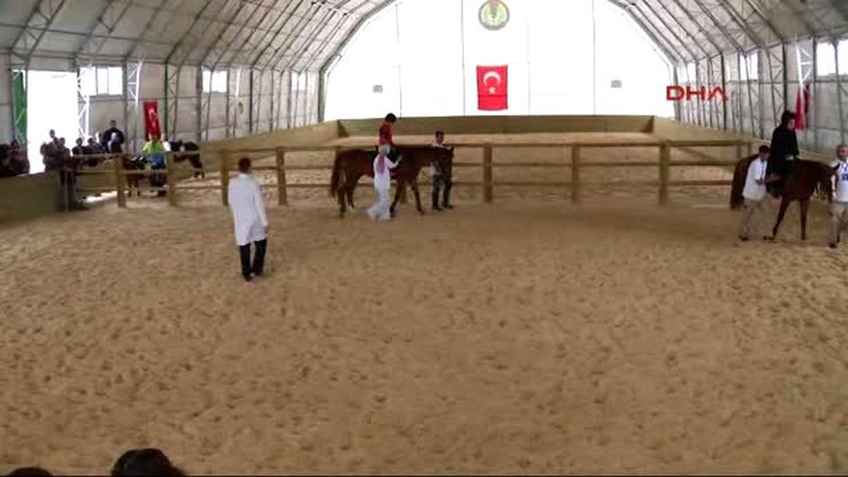 Cumhurbaşkanı Erdoğan, Arap Atı Tanıtım ve Hippoterapi Merkezi ile Tigem İşletmeleri\'ndeki...