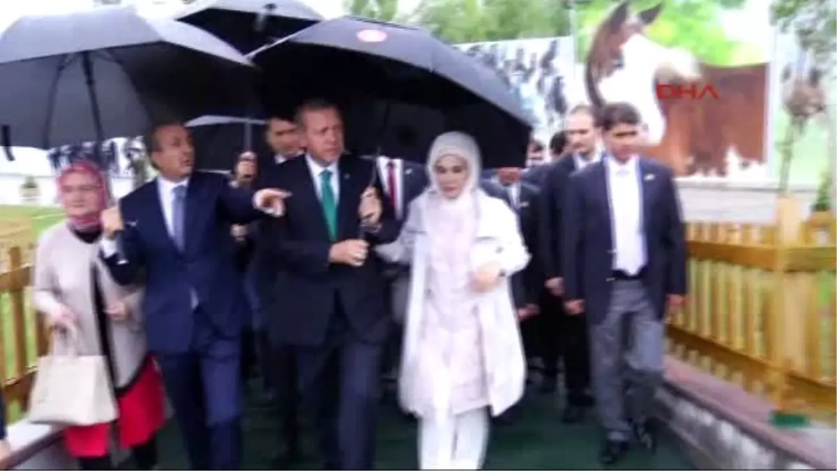 Cumhurbaşkanı Erdoğan, Arap Atı Tanıtım ve Hippoterapi Merkezi ile Tigem İşletmeleri\'ndeki...