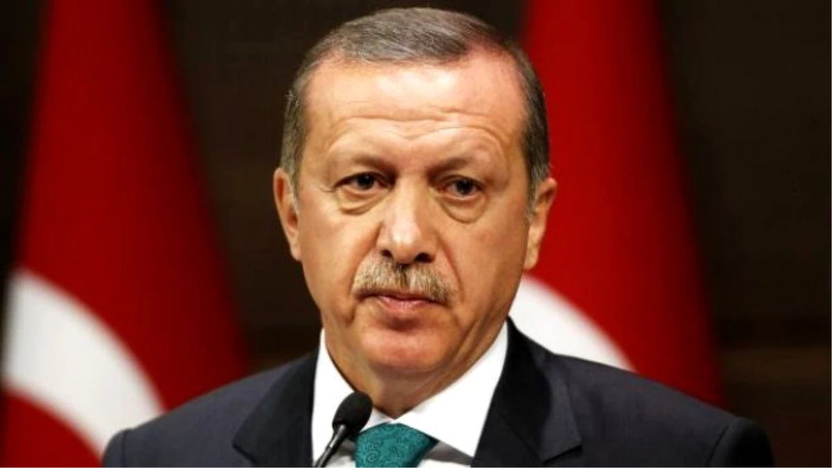 Erdoğan: Katar Emiri 53 Tane Arap Atı Gönderdi