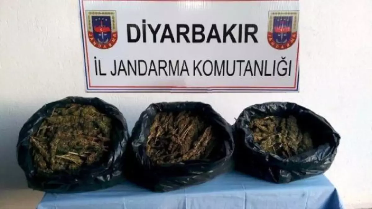 Jandarmadan Kaçarken Kaza Yaptılar, 16 Kilo Esrarla Yakalandılar