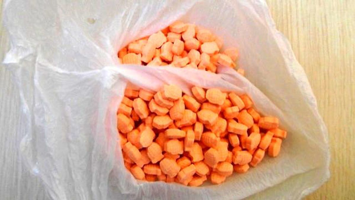 Kars\'ta 288 Adet Ecstasy Hapı Ele Geçirildi