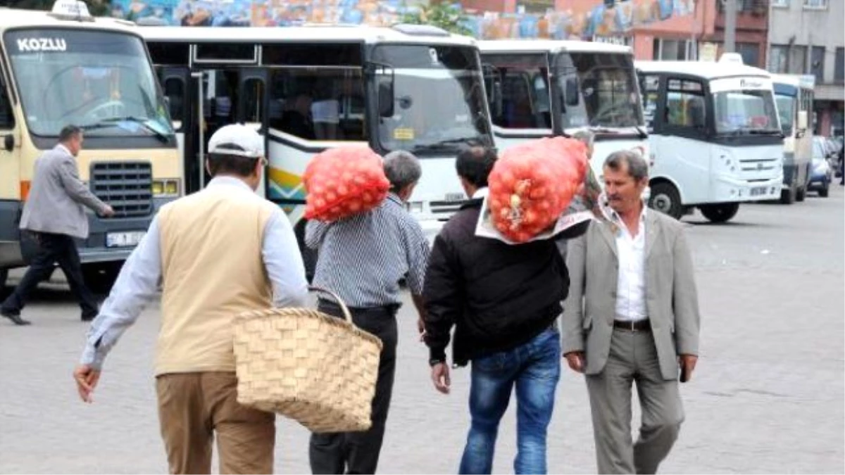 Kozlu\'da Belediye Halka 50 Ton Ücretsiz Soğan Dağıttı