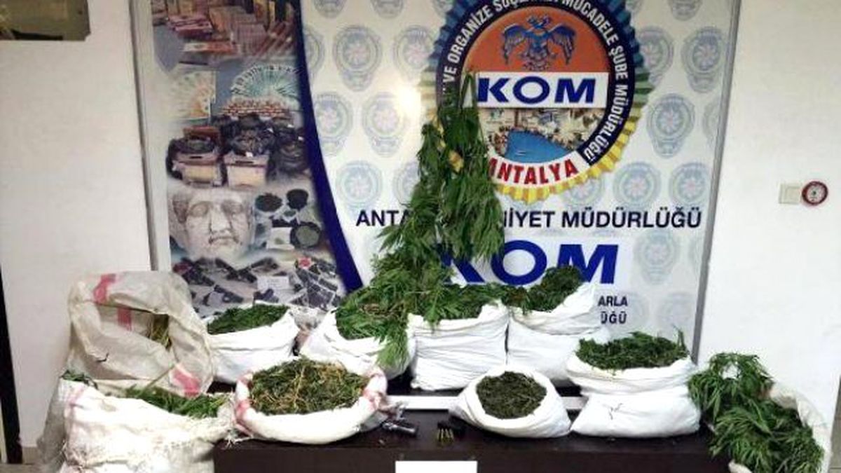 Antalya\'da 55 Kilo Esrar Ele Geçirildi