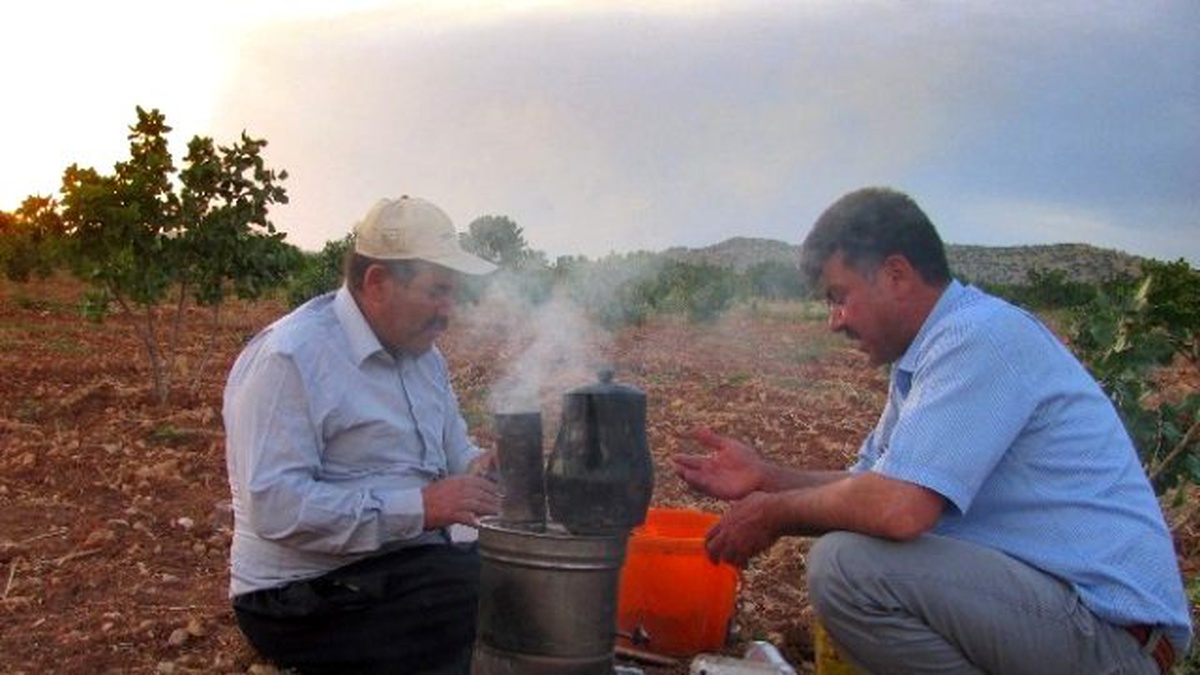 Arabanlı Antep Fıstığı Üreticilerinin Gün Batımında Közde Çay Keyfi
