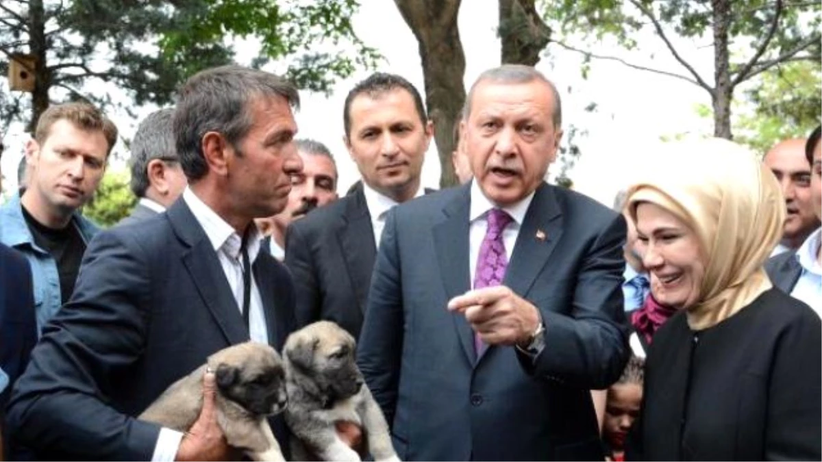 Erdoğan: Bir Pop Star Çıkardılar, İyi Saz Çalıyormuş (3)