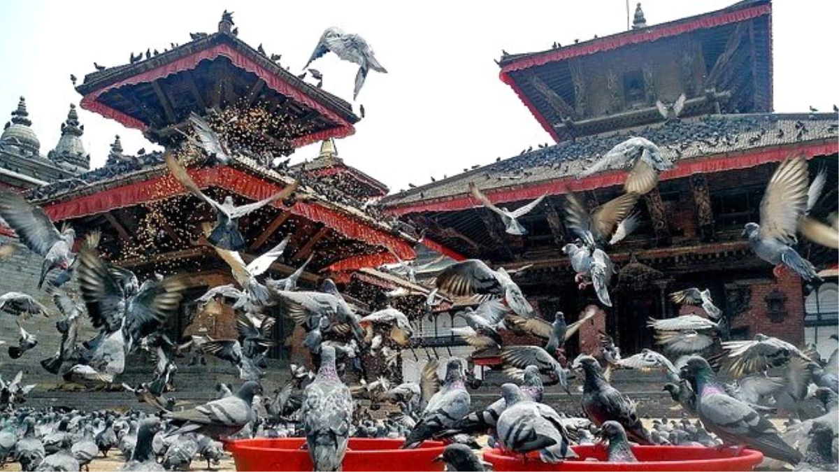 Fest Travel farkıyla Hindistan Katmandu Gezisini Kaçırmayın!