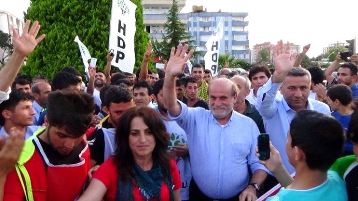 Hdp Milletvekili Kürkçü: "Lütfen Herkes Kedileri Sevsin"