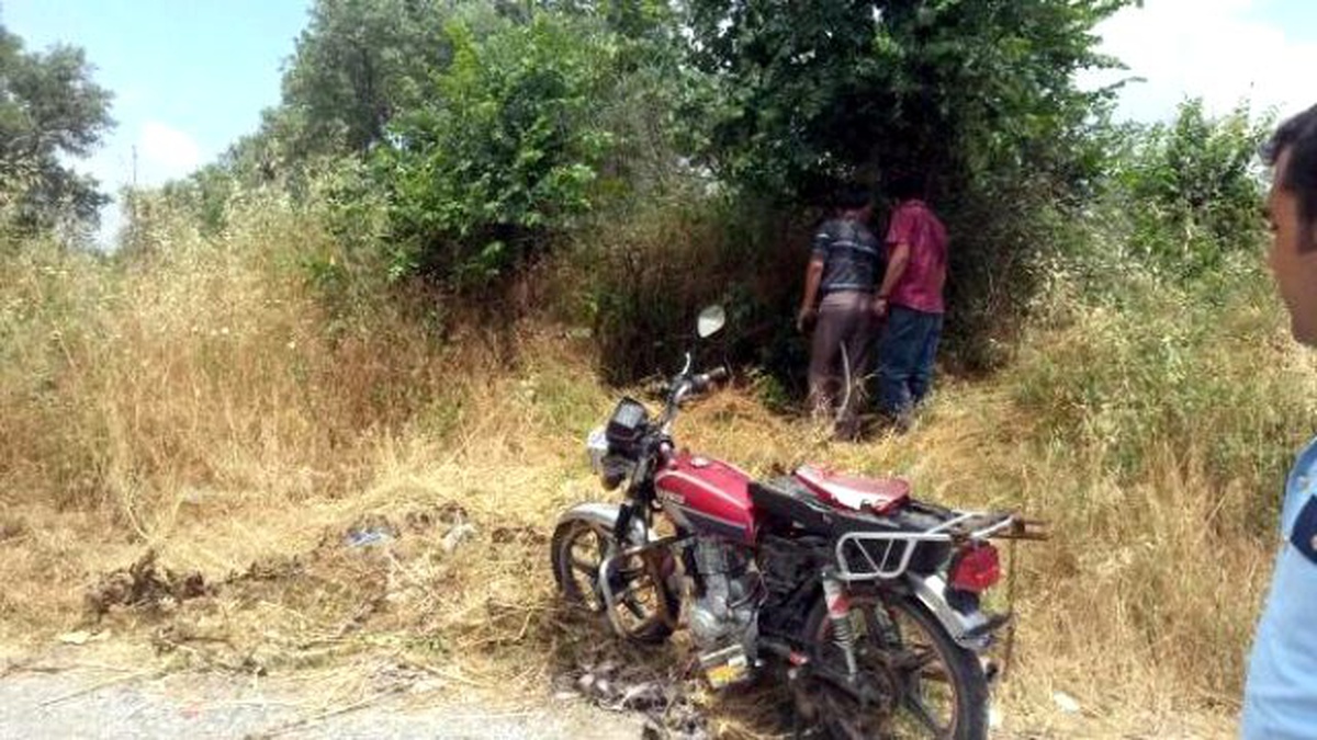 Yol Kenarındaki Ağaca Çarpan Motosikletli Öldü
