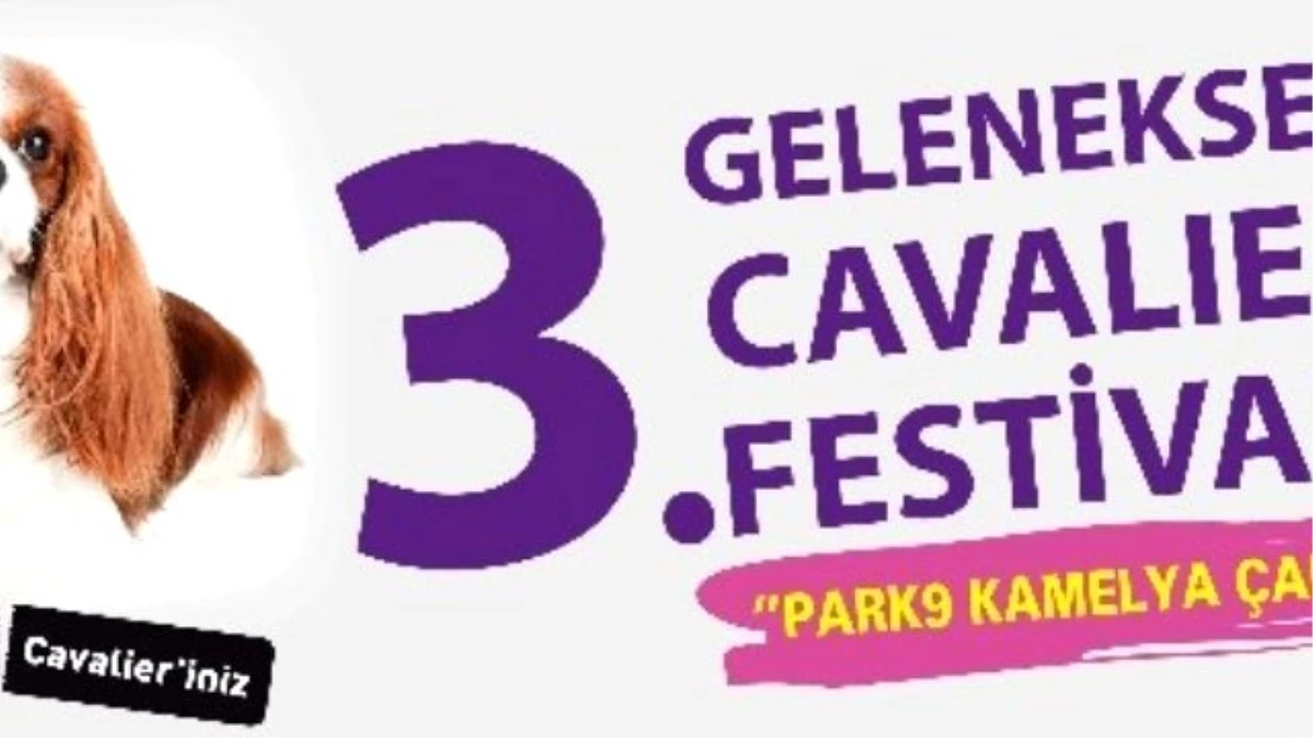 En Büyük Cavalier Festivali