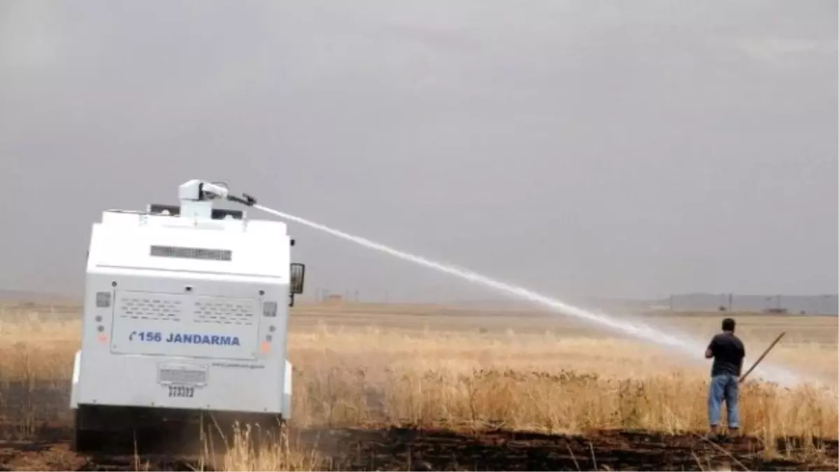 Buğday Tarlasındaki Yangına Toma Müdahale Etti