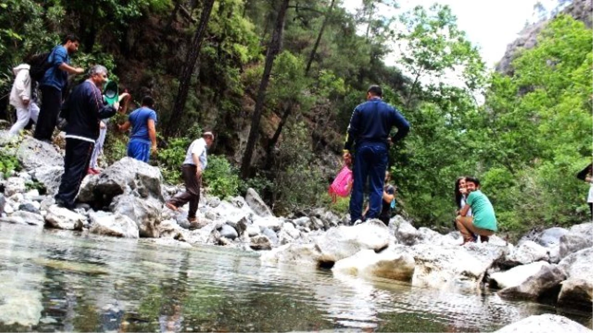 Geyik Kanyonunda Geyik Üretilecek