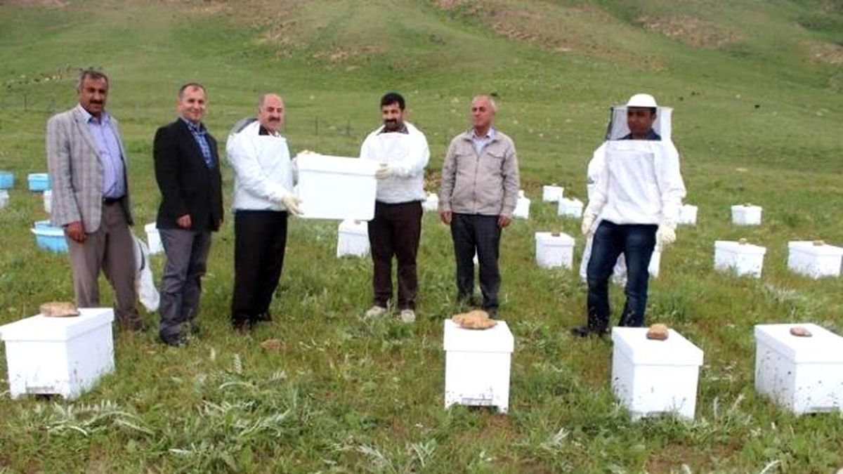 Hakkari\'de Arı Dağıtımı