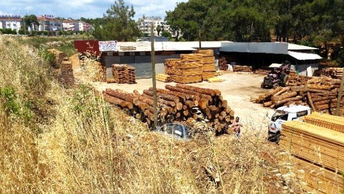 Kaldırıma Çarpan Otomobil Odun Deposuna Uçtu