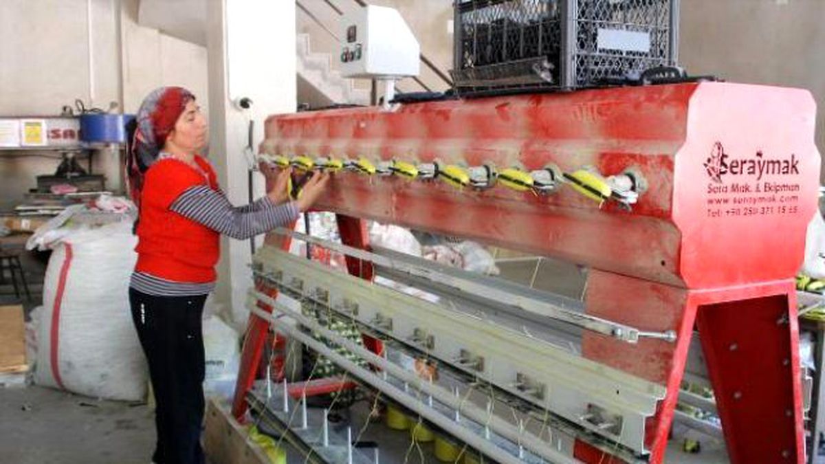 Söke Uçurtmaları Semaları Süslüyor