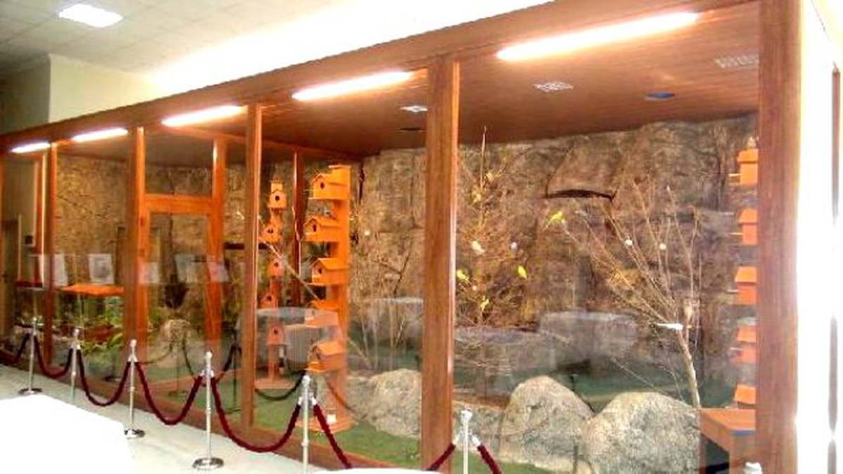 Üniversite Öğrencilerinden \'Doğal Kuş Cenneti\'