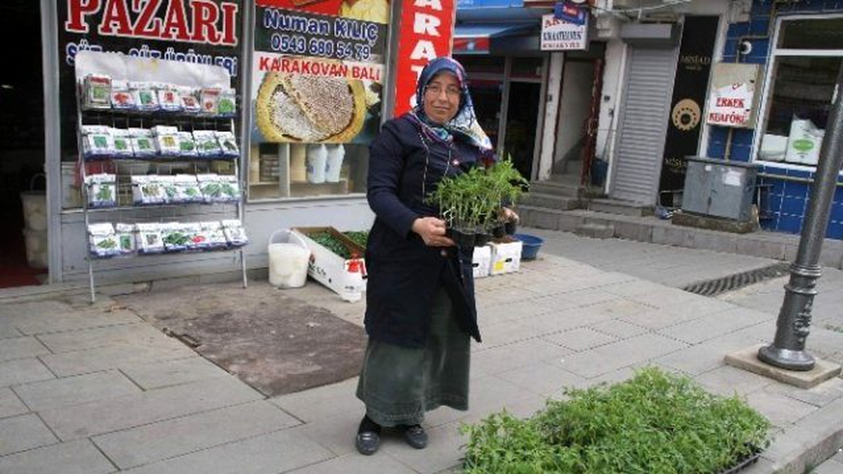 Çiftçiler Sebze Fidelerini Pazardan Karşılıyor