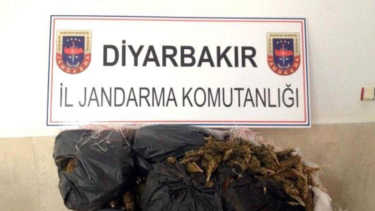 Diyarbakır\'da 30 Kilogram Esrar Ele Geçirildi