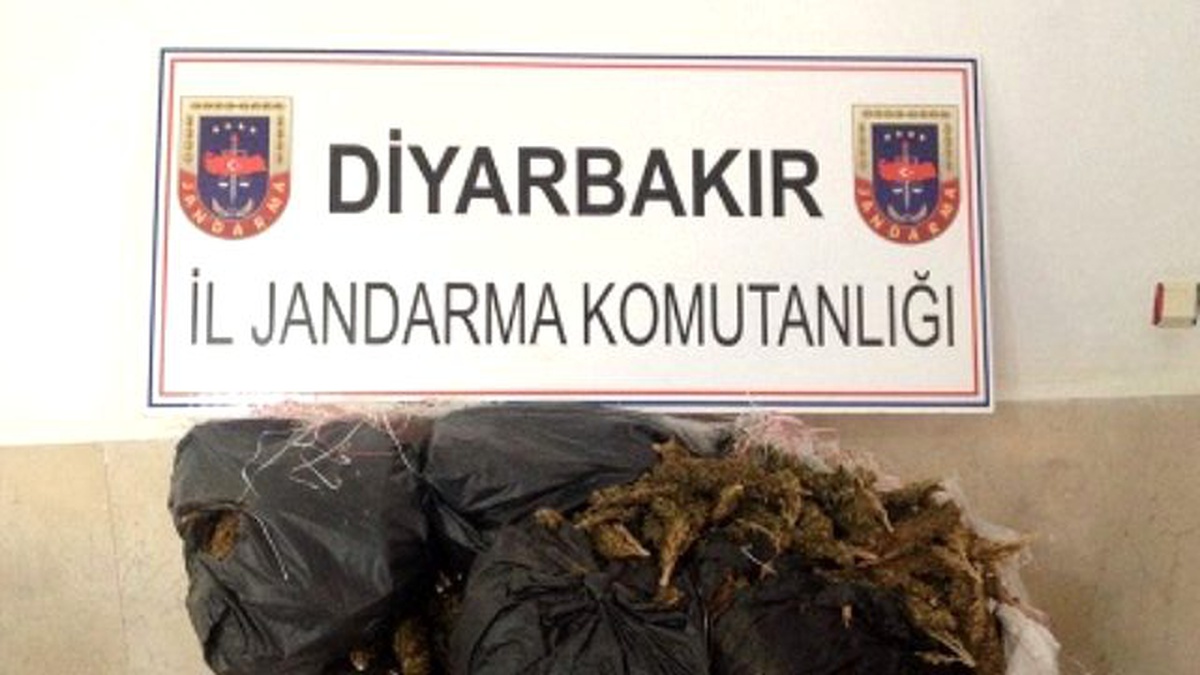 Diyarbakır\'da 30 Kilogram Esrar Yakalandı